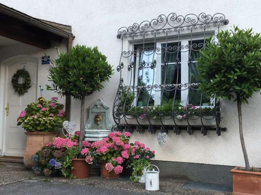 Dachwohnung Mit Seeblick Altmünster Eksteriør billede